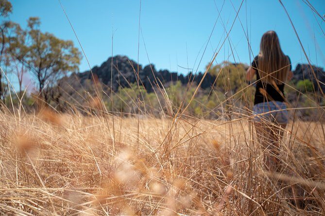2 Day Daintree Rainforest and Chillagoe Outback Tour - A Close Look at the Itinerary