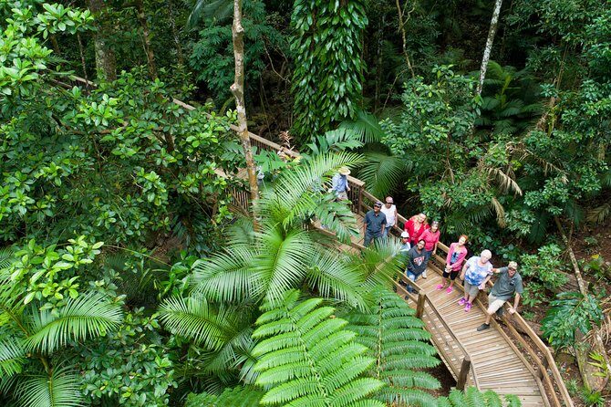 2 Day Daintree Rainforest and Chillagoe Outback Tour - Authentic Experiences and Unique Highlights