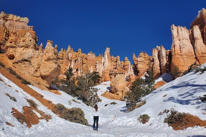 2 Day Grand Canyon, Bryce and Zion Canyons, Horseshoe Bend and Antelope Canyon - Who Would Love This Tour?