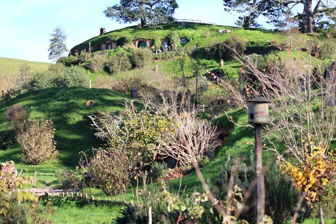 2-Day Hobbiton, Rotorua, Waitomo Caves Tour from Auckland with Accommodation - An In-Depth Look at What This Tour Offers