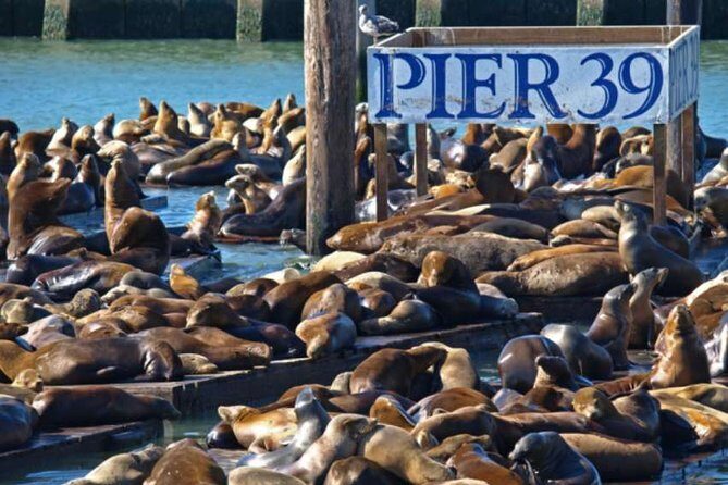 2-Day Hop-On Hop-Off Tour & Alcatraz - Who Would Love This Tour?