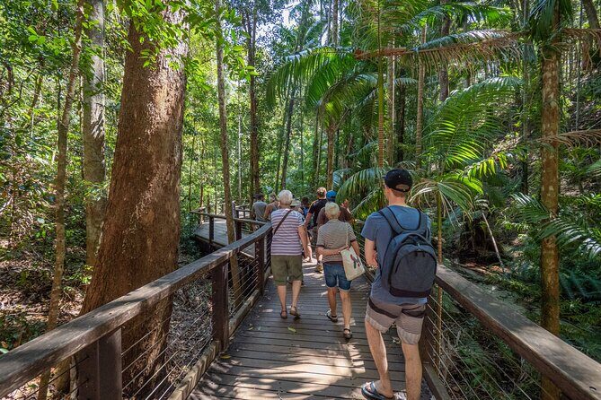 2 Day Kgari Fraser Island Small Group Camping Tour - Authentic Experiences Highlighted in Reviews