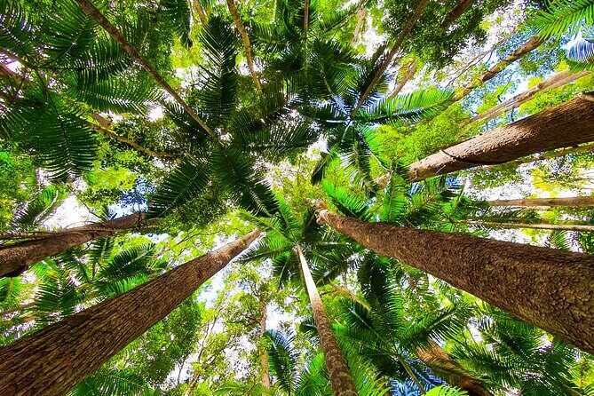 2 Day Kgari Fraser Island Small Group Camping Tour - Price and Value