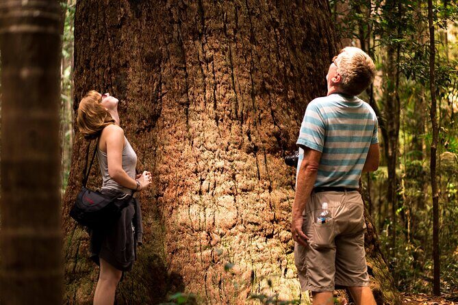 2 Day Kgari Fraser Island Small Group Camping Tour - The Sum Up: Is It Worth It?