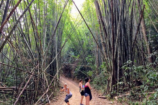 2-Day Khao Sok Jungle Safari from Krabi - The Sum Up