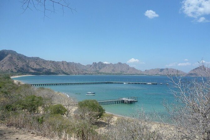 2-Day Komodo National Park and Rinca Island Wildlife Adventure from Bali - FAQ