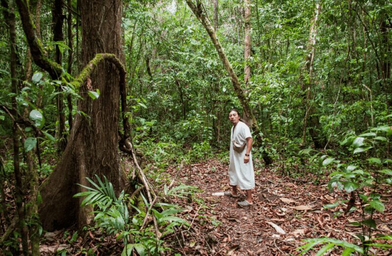 2 Day Lacandon Jungle, the Lost City and Bonampak Ruins - Day 1: From Palenque to Bonampak and the Lacandon Jungle