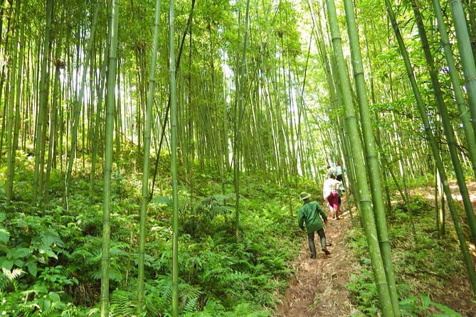 2-day Mai Chau Visit and Da River Boat Trip with round trip from Hanoi - Final Thoughts