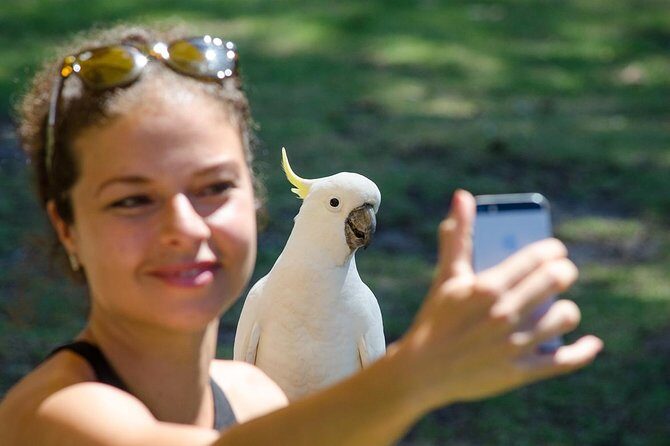 2-Day Melbourne to Adelaide Tour via Great Ocean Road Grampians - Practical Considerations