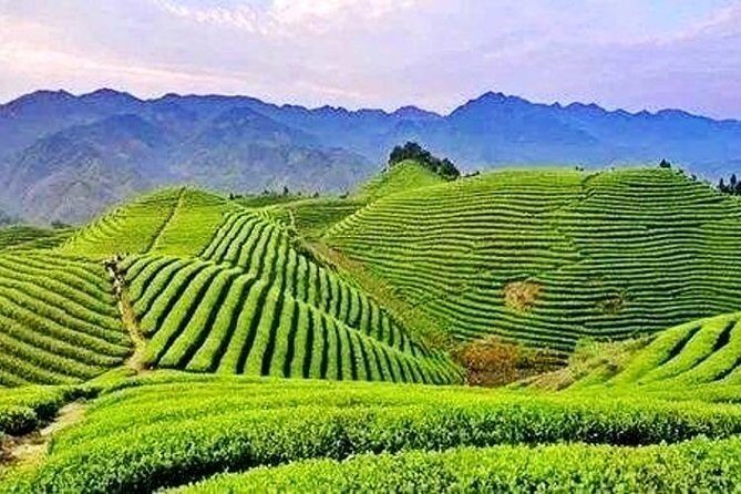 2-Day Mountain Wuyi Private Flexible Tour from Shanghai by Bullet Train - The Complete Guide to the 2-Day Mountain Wuyi Private Tour