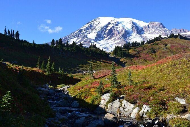 2 Day Mt Rainier All-Inclusive Small Group Tour - The Highlights of the 2-Day Mount Rainier Tour