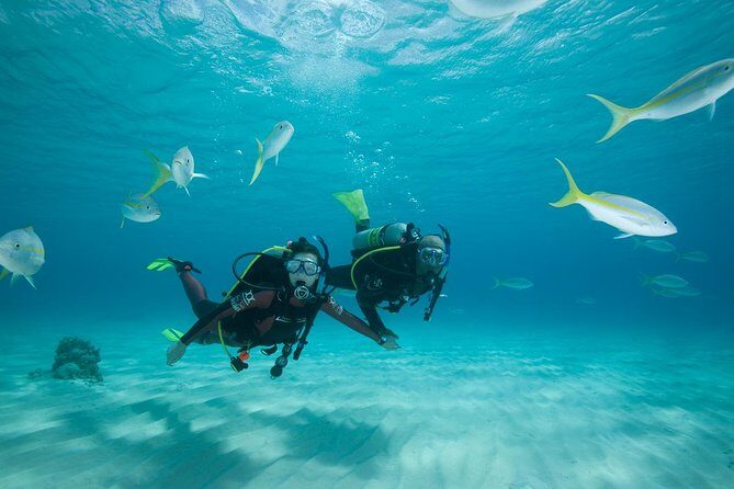 2 Day PADI Scuba Diver Course in Puerto Rico, Gran Canaria - An In-Depth Look at the Course