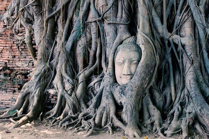 2 Day Private Car with Driver from Laem Chabang to Bangkok & Ayutthaya - What to Expect: A Deep Dive into the Experience