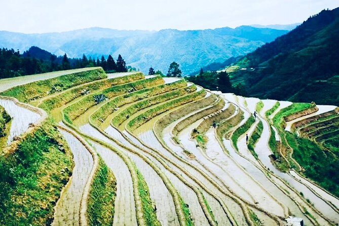 2-Day Private Guilin Highlight Tour including Li River and Longji Rice Terraces - Exploring Guilin: A Practical, In-Depth Look at the 2-Day Private Tour