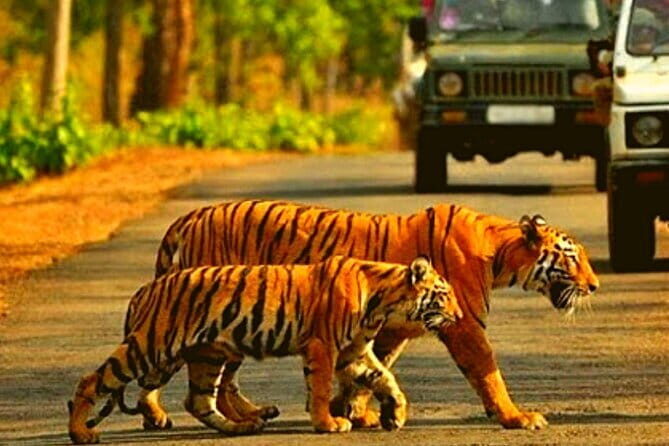 2-Day Private Luxury Jaipur Trip from Delhi - Key Points