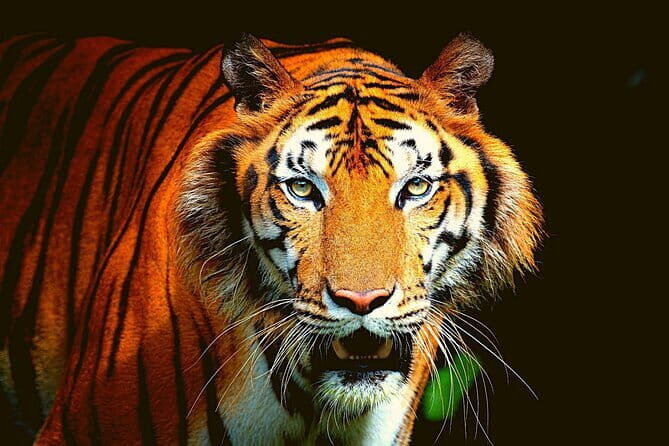2-Day Private Luxury Jaipur Trip from Delhi - Exploring Jaipur in Style: The 2-Day Private Tour Experience