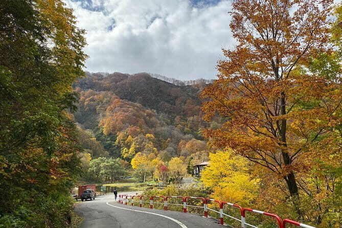 2 Day Private Luxury Tour through rural Japan (Fukushimagata) - Final Thoughts: Who Will Love This Tour?