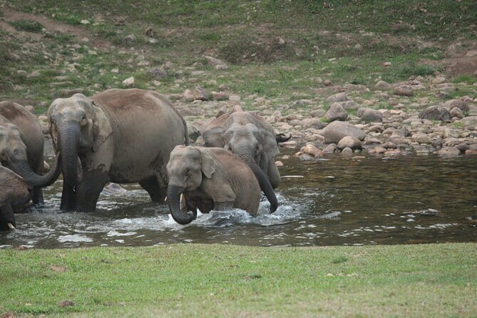2-Day Private Munkudil Kerala Retreat Package - FAQ
