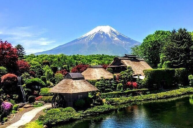 2-Day Private Tokyo MT Fuji Hakone Sightseeing Tour with Guide - Who Should Consider This Tour?