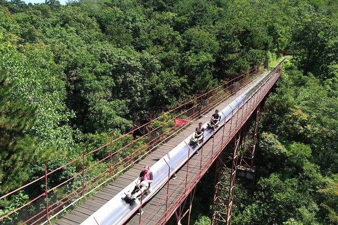2-Day Private Tour from Chengdu by Train and Air:Highlights of Xi'an and Beijing - The Sum Up: Who Will Love This Tour?