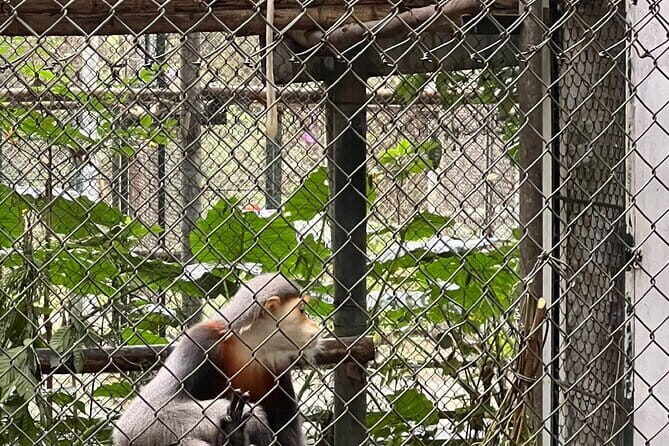 2 Day Private Tour in Tam CocCuc Phuong-Van Long Nature Reserve - Key Points