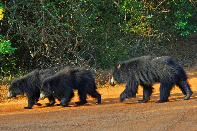 2 Day Private Tour of Yala wild Safari & Galle Sightseeing - All Inclusive - Logistics and Practicalities