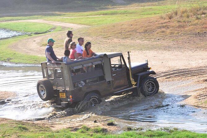 2 Day Private Tour of Yala wild Safari & Galle Sightseeing - All Inclusive - The Sum Up