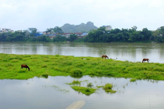 2-Day Private Tour to Longji Rice Terraces and Ping'an Village from Guilin - The Sum Up: Who Is This Tour Best For?