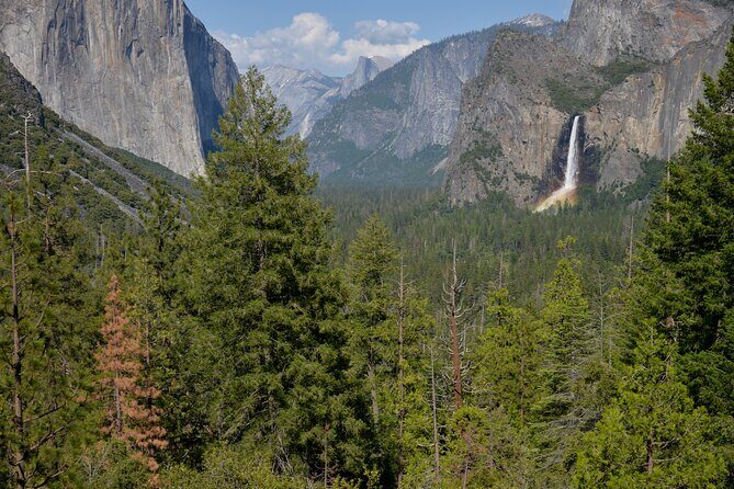 2 Day Private Tour to Yosemite National Park - Key Points