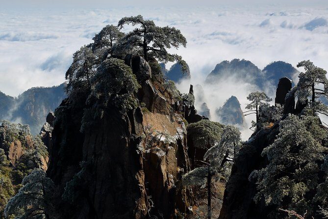 2-Day Private Trip to Huangshan Mountain and Tongmo Ancient Town from Shanghai - Why This Tour Offers Great Value