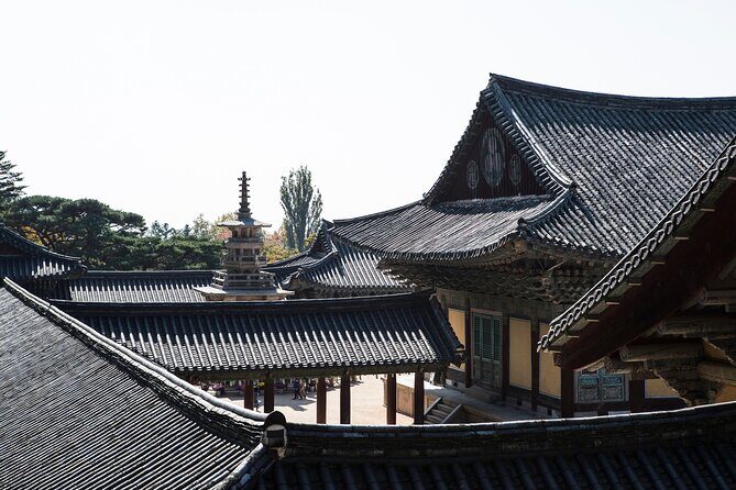2-Day Rail Tour to Gyeongju and Busan from Seoul - Final Thoughts: Who Is This Tour Best For?