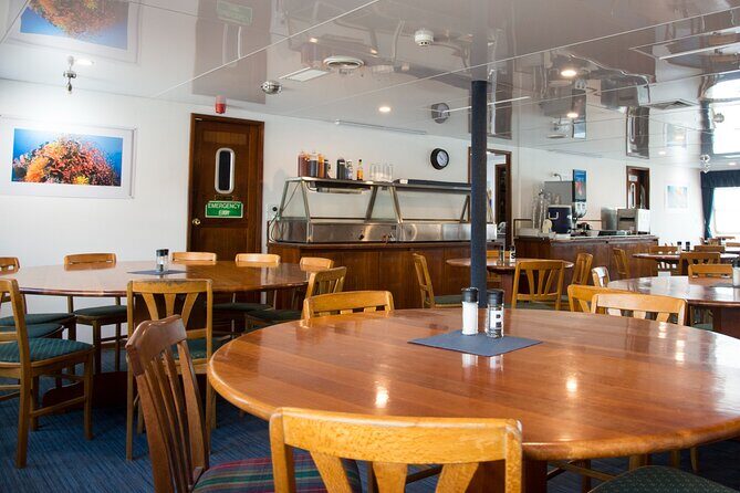 2-Day Snorkelling Experience - Great Barrier Reef Twin Share - Practical Tips for Future Travelers