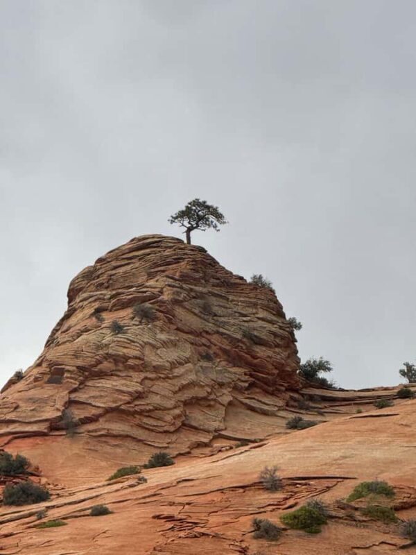 2 Day: Southwest Canyons Tour - Exploring the 2-Day Southwest Canyons Tour: A Practical Guide