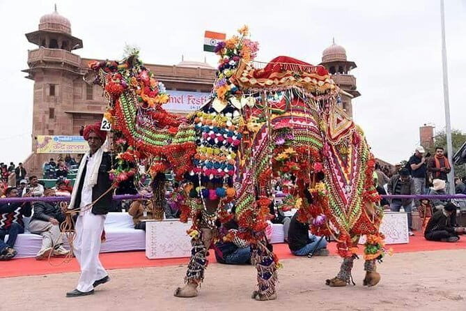 2-day Taj mahal & Fort tour with Tiger Safari from Mumbai - Price and Value Analysis