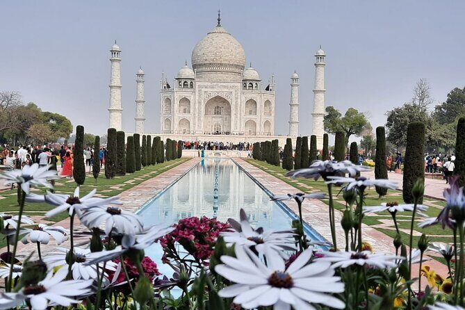 2-day Tajmahal & Fort tour with Tiger Safari from Bangalore - An In-Depth Look at the 2-Day Tour Experience