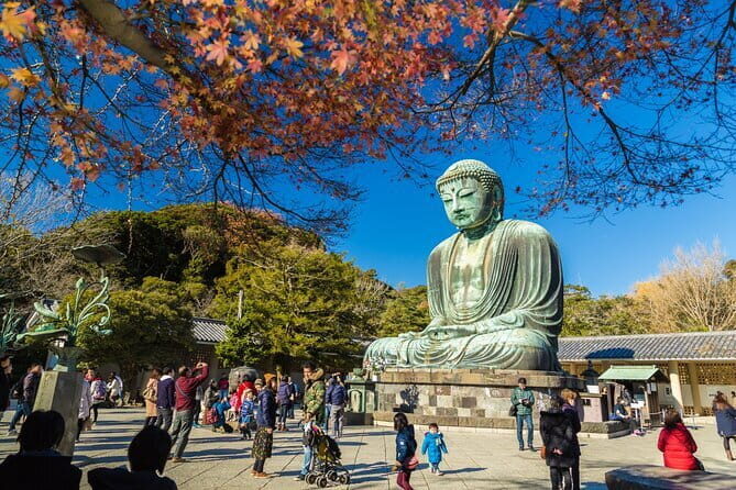 2 Day Tokyo Mt. Fuji Hakone Odawara castle Kamakura, Onsen Ryokan - Practical Details & Value