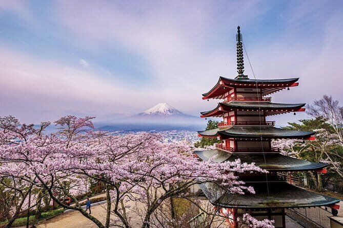 2 Day Tokyo Mt. Fuji Hakone Odawara castle Kamakura, Onsen Ryokan - The Sum Up
