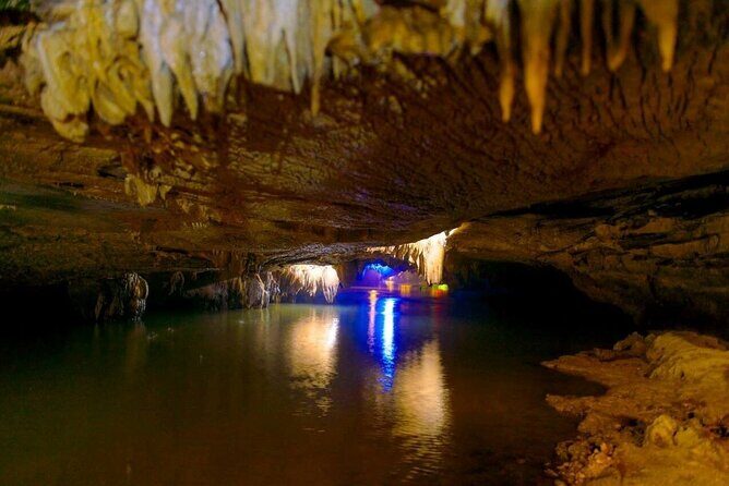 2-Day Tour Hoa Lu - Tam Coc - Mua Cave - Cuc Phuong - Galaxy Cave - Exploring Ninh Binh: A Deep Dive into the 2-Day Adventure