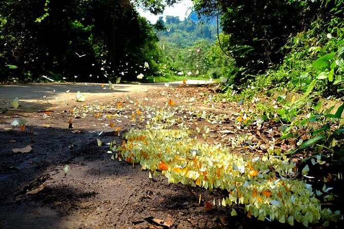 2-Day Tour Hoa Lu - Tam Coc - Mua Cave - Cuc Phuong - Galaxy Cave - Frequently Asked Questions