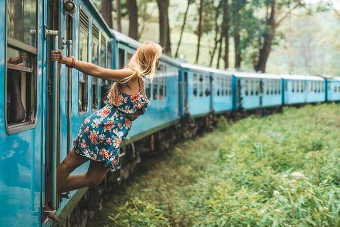 2 Day Tour of Yala & Ella with Hill Country Scenic Train Ride - All Inclusive - What Makes This Tour Stand Out?
