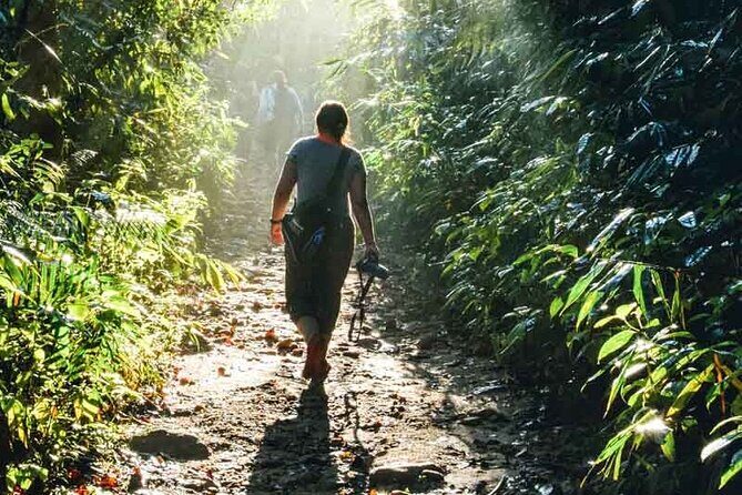 2 Day Tour To Sinharaja Rain Forest & Udawalawa From Galle - The Sum Up: Who Is This Tour Best For?