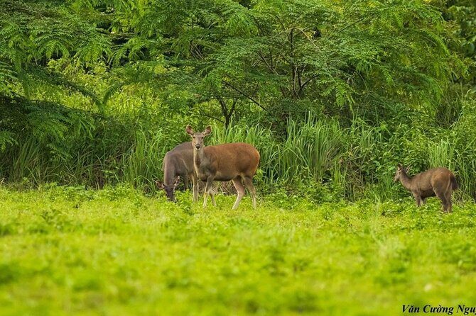 2-Day Trekking & Biking Nam Cat Tien National Park from HCM City - FAQ