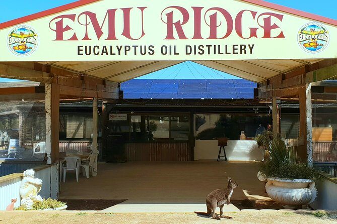 2 day Ultimate Kangaroo Island with return ferry - Is It Worth the Price?