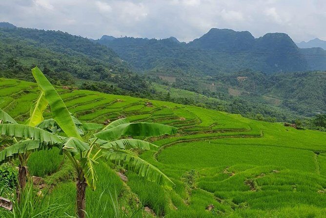 2 Days 1 night - Best Trekking Tour at Pu Luong Nature Reserve - Best Price - Who Is This Tour Best For?