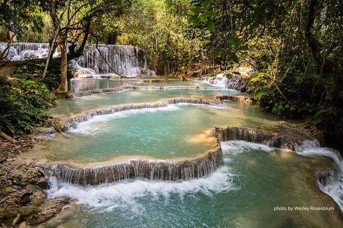 2 Days 1 Night Elephant and Nam Pouy National Tour - Who Should Consider This Tour?