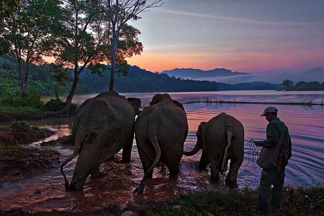 2 Days 1 Night Elephant and Nam Pouy National Tour - FAQ