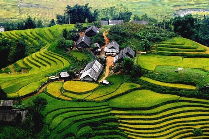 2 Days 1 night Sapa Tour from Hanoi by Limousine/Sleeper bus - What Travelers Say: Authentic Insights
