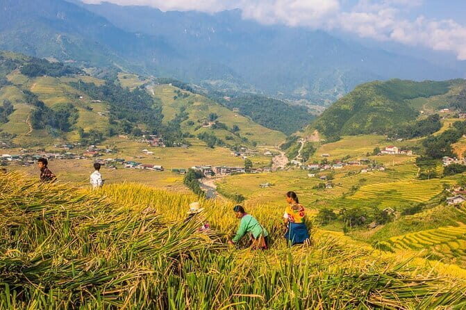 2 Days 1 Night Sapa Trekking Group Tour at 4 Star Hotel - Authentic Experiences & Tips from Reviews