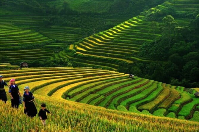 2 days 1 night Sapa trekking group tour at homestay - A Deep Dive Into the Sapa Experience