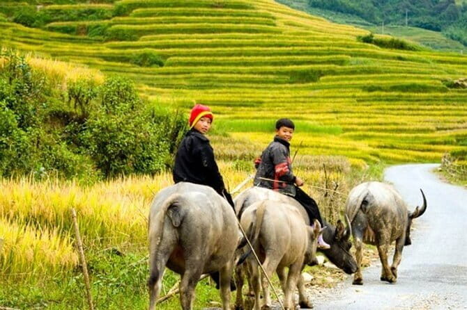 2 Days 1 Night Sapa Trekking With 4 Star Hotel Stay - Key Points